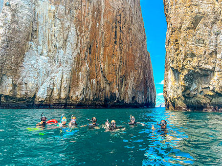 8 Available Galapagos Trips NOW: