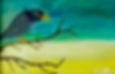 Amsel