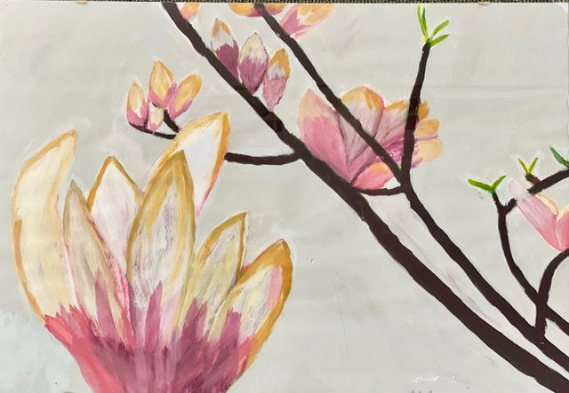 Blick in den Tulpenbaum