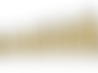 Rental Yield: A Guide for Property Investors