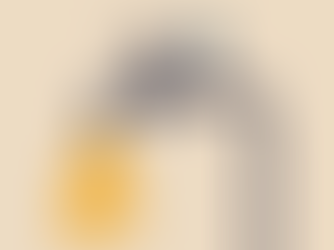 How to treat property investments like a business - Protect, Refine and Repeat