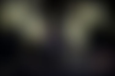 Fotoverslag | Cactusfestival 2025 - Zondag