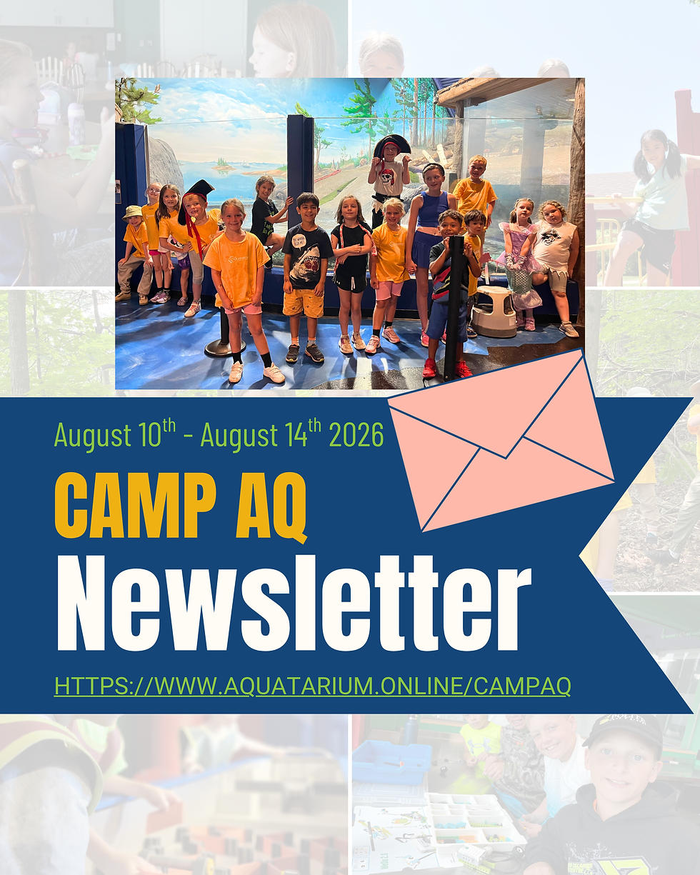 Camp Newsletter 7.png