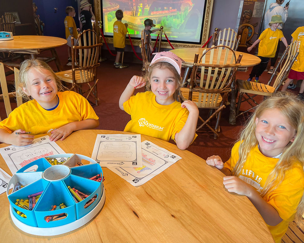 Fedorki Lego Camp - Edited (3).jpg