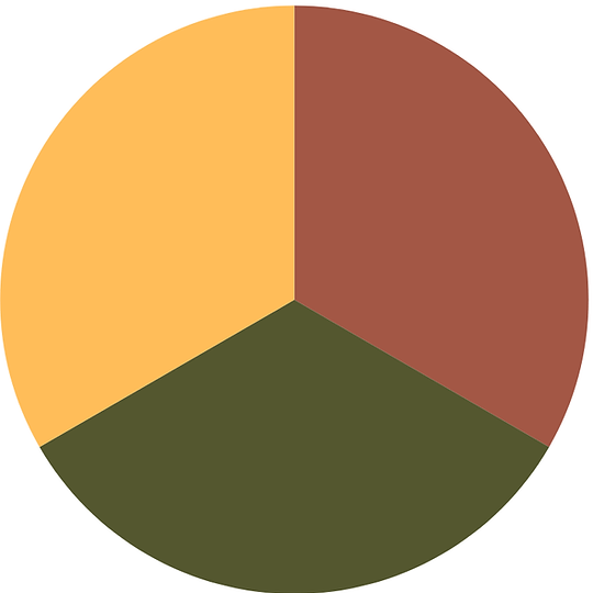 Financial & Tax Services-3.png