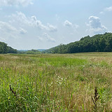 Spring Valley field 2 for comms.jpeg