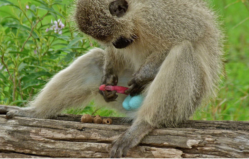 Kollej porno video Keti Perrining yalangoch yulduzlari