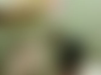 Hilekoa gure eskolan