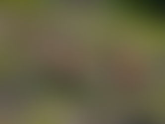 Today's Hike - In the Valkyrs