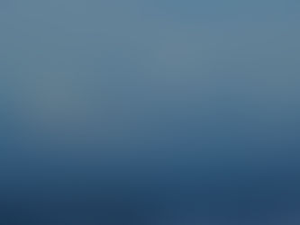 Here and There - Waterfowl and Mountains.