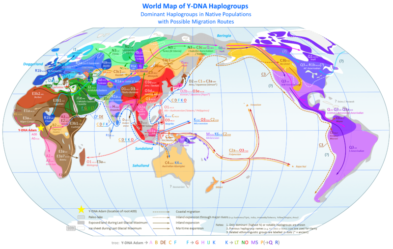 This map shows Y-Chromosome haplogroups around the world. This is one way to tell where your ancestors came from using your genes!