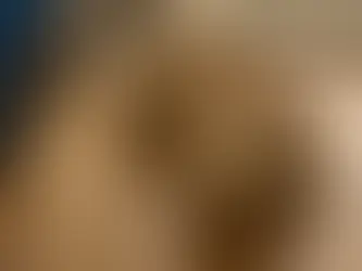 Kuzco Male Golden Retriever AKC Sold To  Shanya Born 1/05/21 Dark Blue Collar 