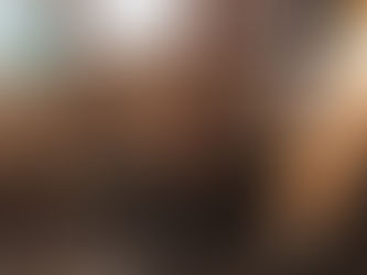 Artemis - Female - AKC Registered - Sold To John