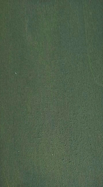 Kalkfarbe dunkelgrün, military green