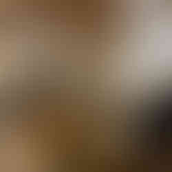 Küchenfronten taupe streiche