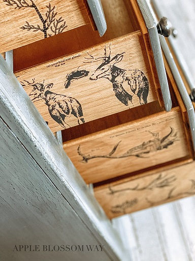 Transferfolie mit Tiermotiven zum Aufrubbeln