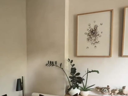 Limewash Technik / Wände mit Kalkfarbe streichen