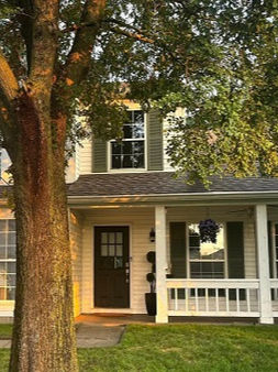 Fensterläden streichen