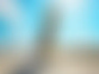 ¡Emotivo Homenaje a Shakira en Barranquilla! Legado con una Estatua de 6.5 Metros en el Gran Malecón.