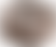 brown dog collar