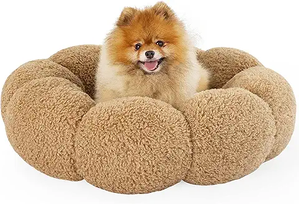 Pomeranian on fluffy tan dog bed