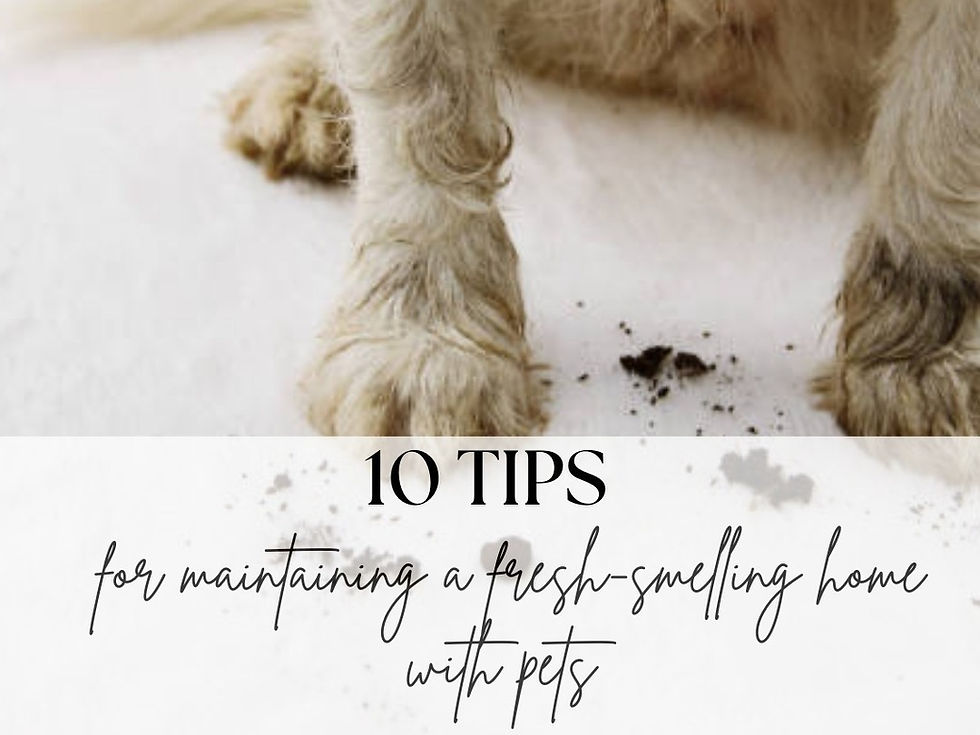 10 Tips for Maintaining a Fresh-Smelling Home with Pets
