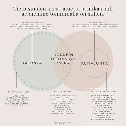 Tietoisuuden 2 tasoa ja 3 osaa.png