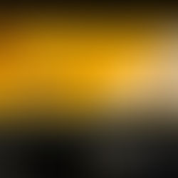 BLUECHIP 먹튀 블루칩 먹튀사이트 b-111.com 토토사이트 먹튀검증 토토검증