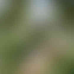 Timber Block Nordhaus Farmhouse Collection