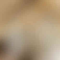 Timber Block Nordhaus living room