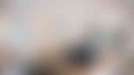 Timber Block McKinley interior kitchen 