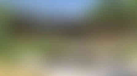 Timber Block Luna exterior 