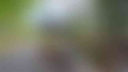 Timber Block McKinley Craftsman exterior 