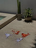 Castaway - Abandoned swimwear on minimalist poolside patio - TVS.jpeg
