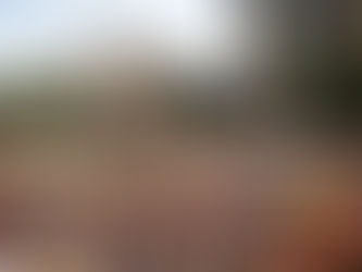 Prefeitura de Belo Horizonte divulga novo modelo de edital para patrocinador do Carnaval