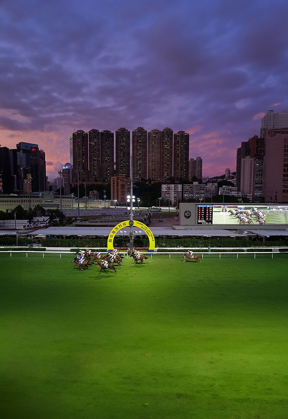 WhatsApp Image 2025-09-03 at 16.03.51.jpeg