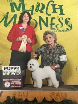 "Janet" Sweepstakes Judge