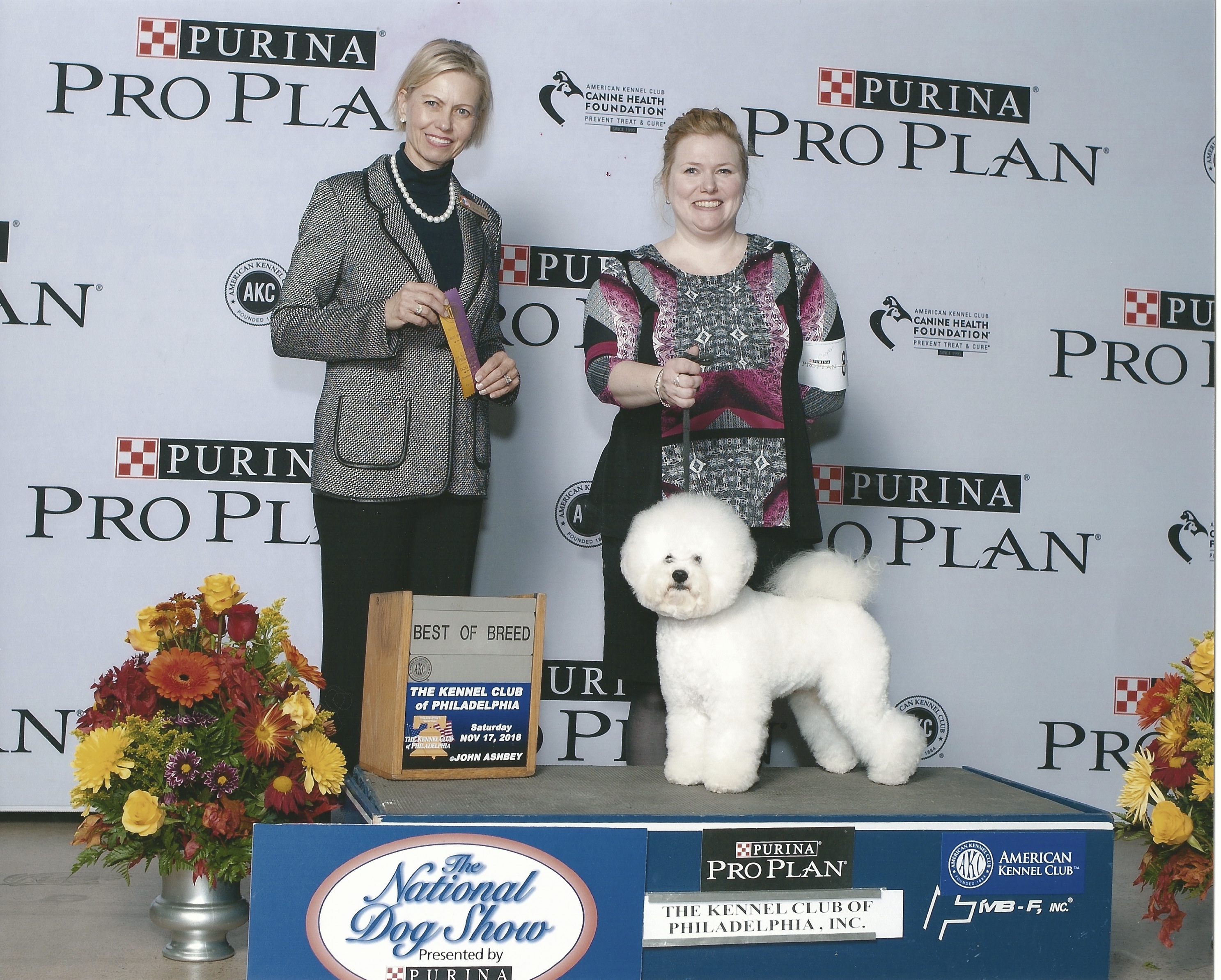 "Cooper" BOB National Dog Show
