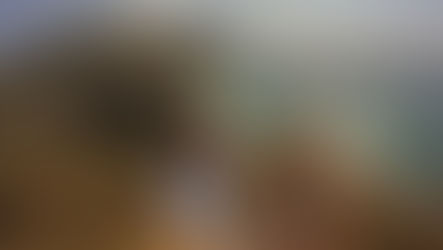 Jak vidět to nejlepší z východní a západní Ameriky za 3týdny a ušetřit?Konkrétní plán cesty uvnitř.