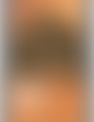 Museum of the Palace of Fine Arts