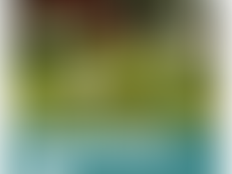 Masayoshi Ohira Park