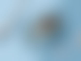 Restaurant menu design 