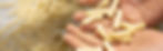 bg-pasta01.jpg