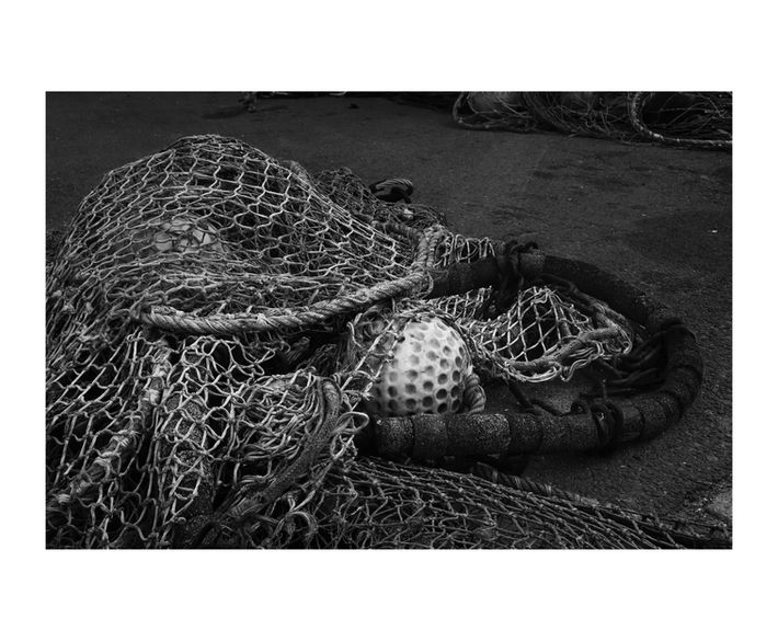 Margot Delariviere00744.jpg