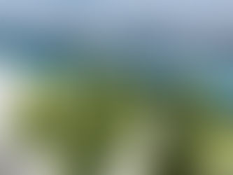NIIJIMA GLASS 2025夏新島ガラス展
