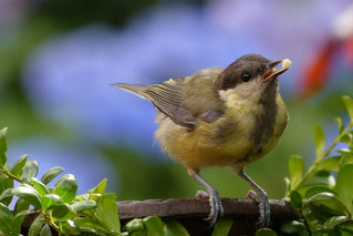 Get To Grips With Your Garden This October