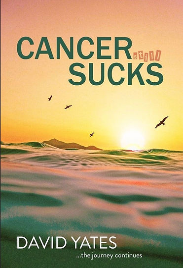 CSS_birds.jpeg Resize 2.jpeg