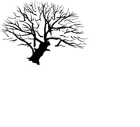 Image18.gif