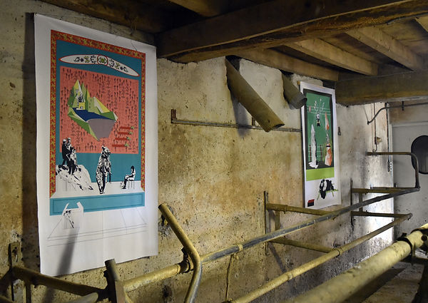 vue ours gorille.jpg