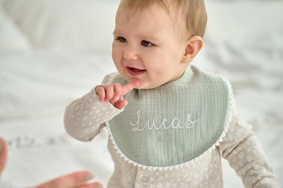 Thumbnail: Name Embroidery Baby Bib